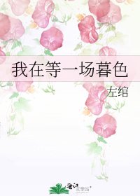 我在等一场暮色